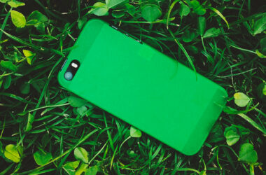 coque posée dans l'herbe