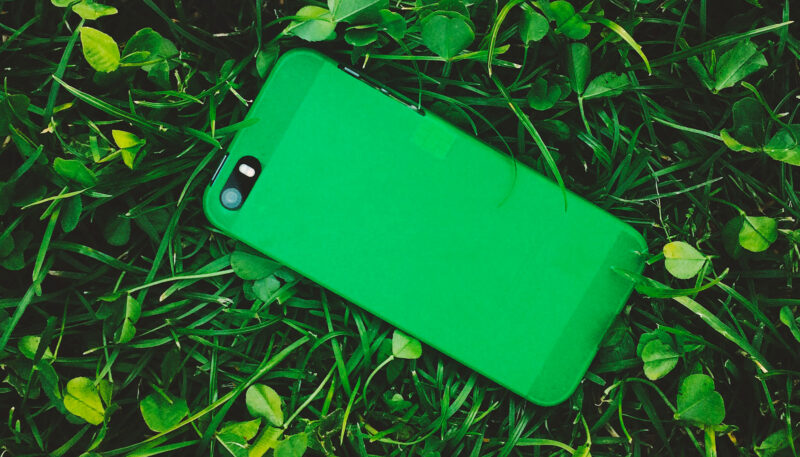 coque posée dans l'herbe